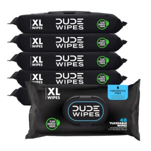 DUDE Wipes - Flushable Wipes- 6 Pack